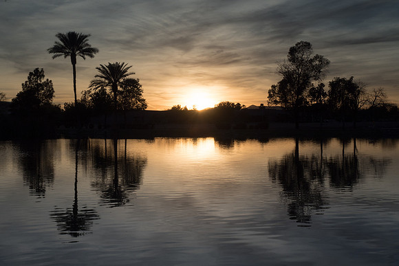 Arizona 2017