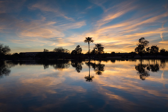 Arizona 2017