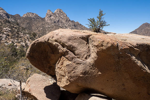 New Mexico 2025