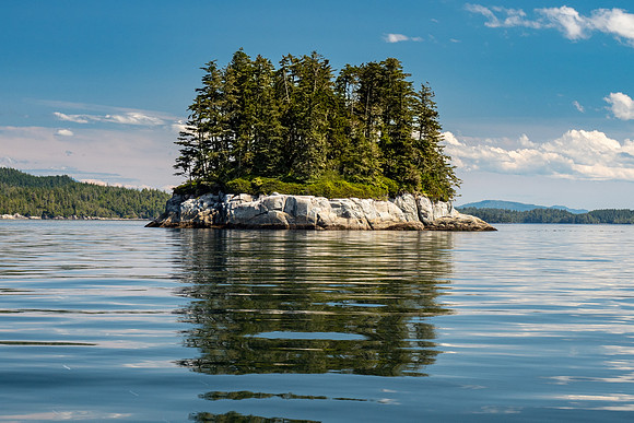 Pacific NW 2019