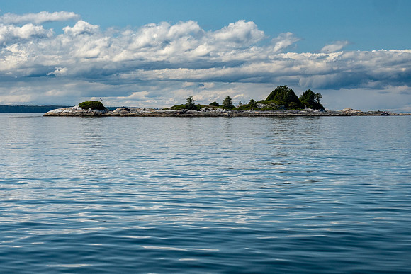 Pacific NW 2019