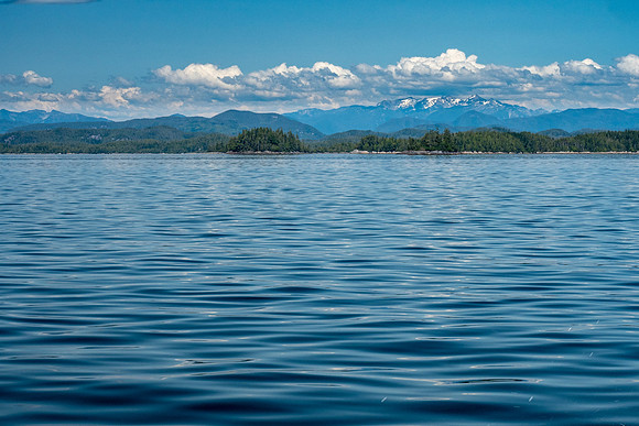 Pacific NW 2019