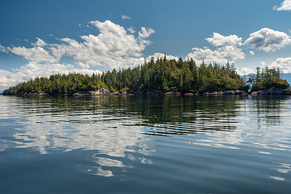 Pacific NW 2019