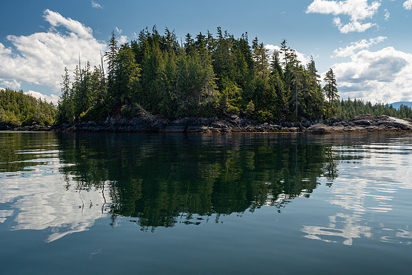 Pacific NW 2019