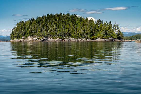 Pacific NW 2019