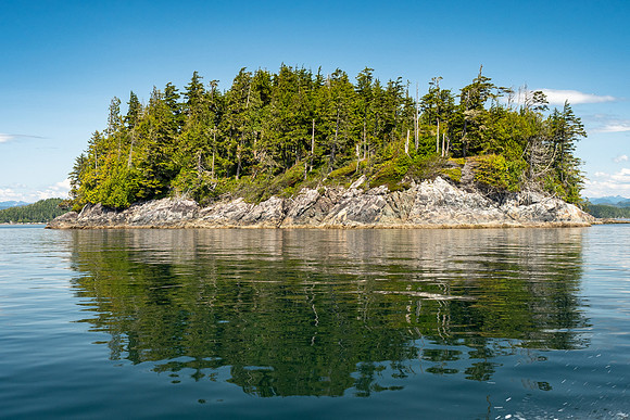 Pacific NW 2019