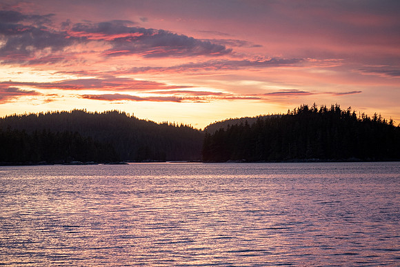 Pacific NW 2019