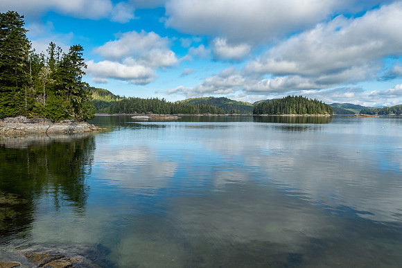 Pacific NW 2019