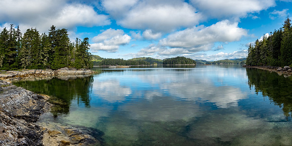Pacific NW 2019