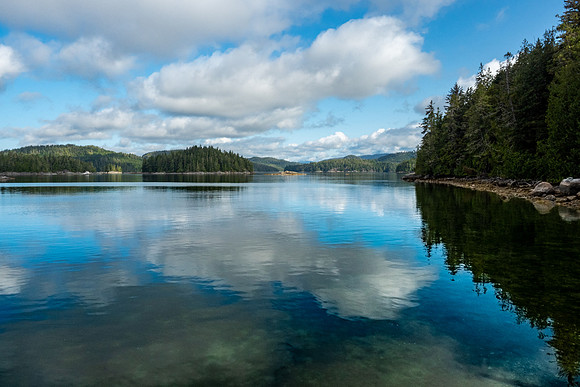 Pacific NW 2019