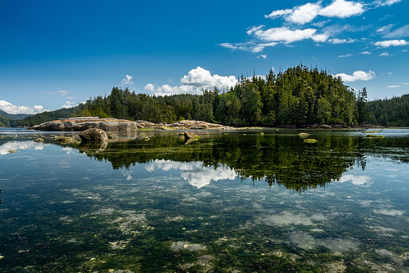 Pacific NW 2019