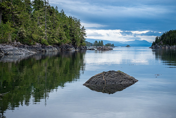 Pacific NW 2019