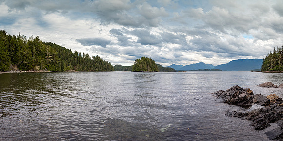 Pacific NW 2019