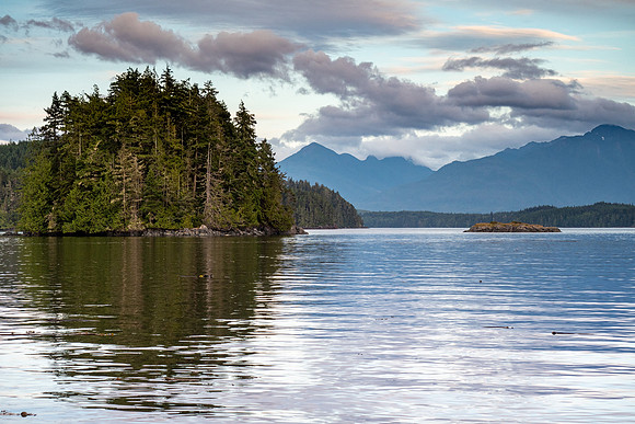 Pacific NW 2019