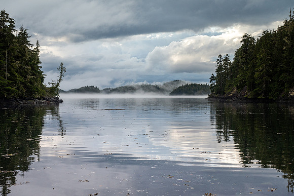 Pacific NW 2019