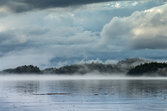Pacific NW 2019