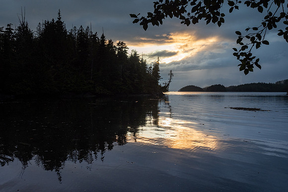 Pacific NW 2019