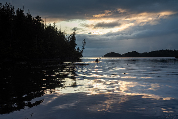 Pacific NW 2019