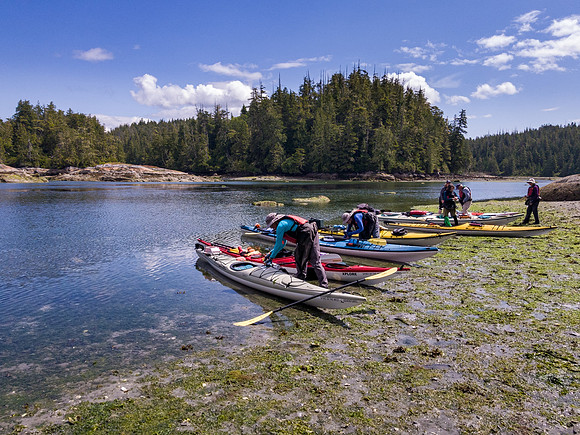 Pacific NW 2019