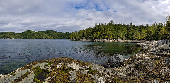 Pacific NW 2019