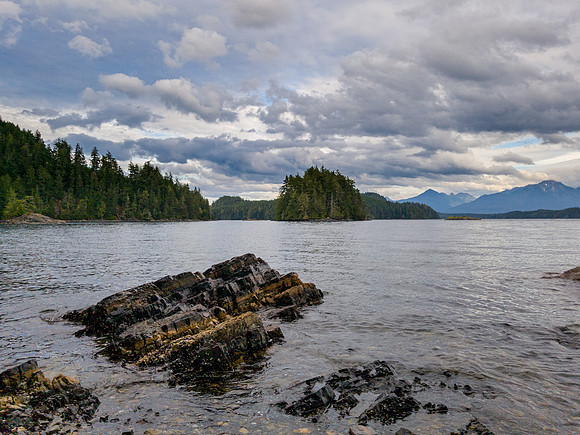 Pacific NW 2019