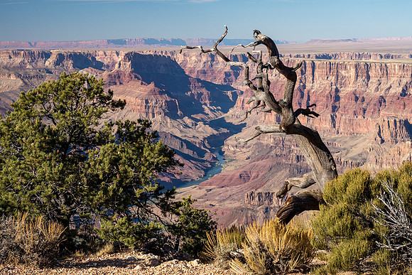 Arizona 2019