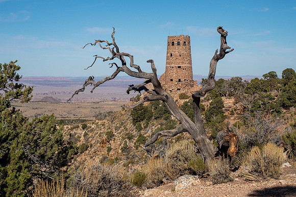 Arizona 2019
