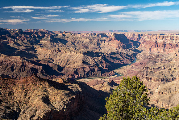 Arizona 2019