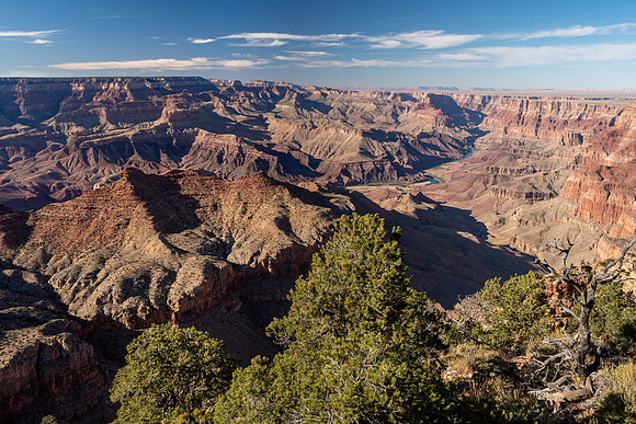 Arizona 2019