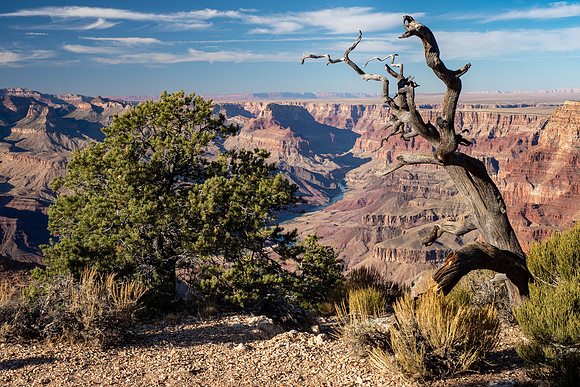Arizona 2019
