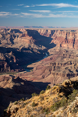 Arizona 2019