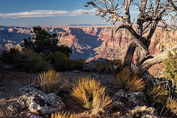 Arizona 2019