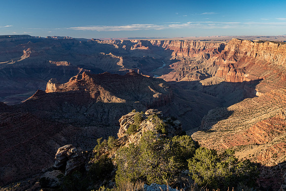 Arizona 2019