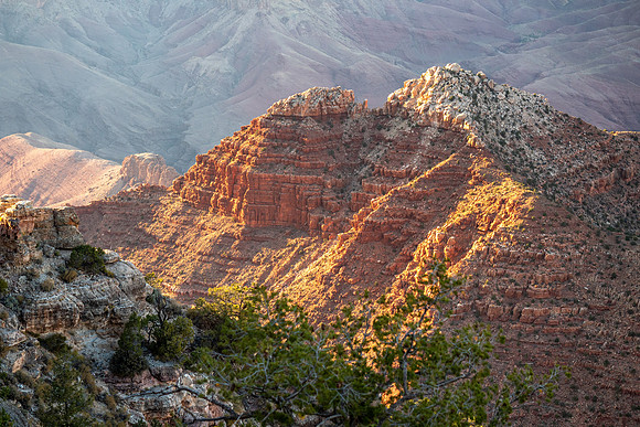Arizona 2019