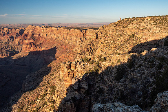 Arizona 2019