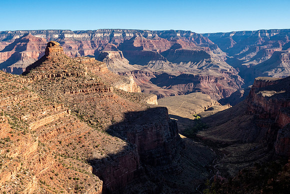 Arizona 2019