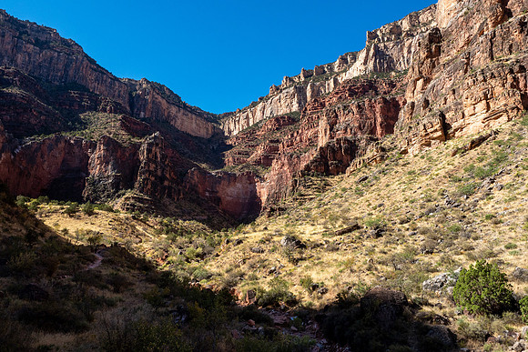 Arizona 2019