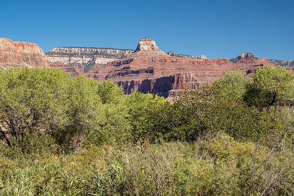 Arizona 2019