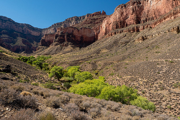 Arizona 2019