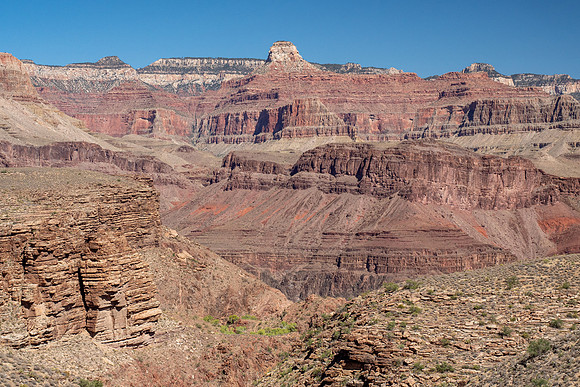Arizona 2019