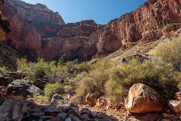 Arizona 2019