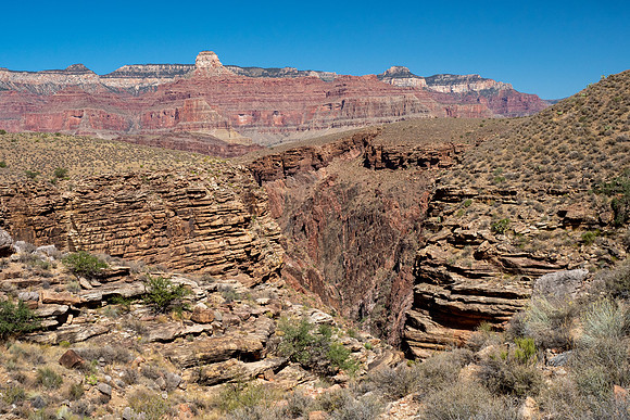 Arizona 2019