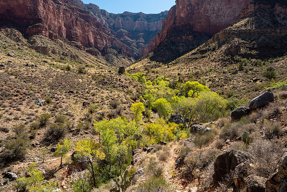 Arizona 2019
