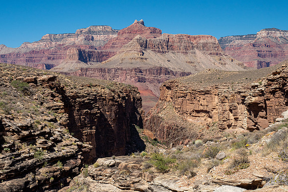 Arizona 2019