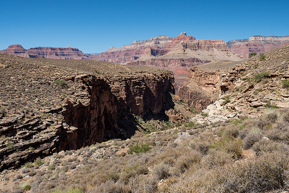 Arizona 2019