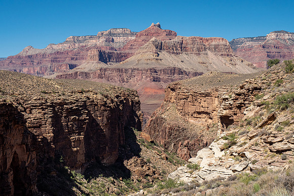 Arizona 2019