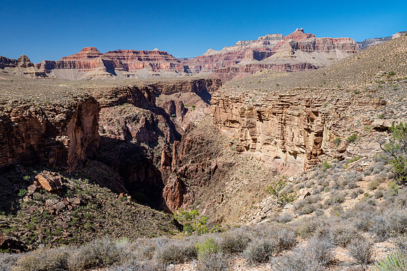 Arizona 2019