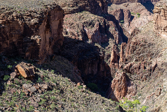 Arizona 2019