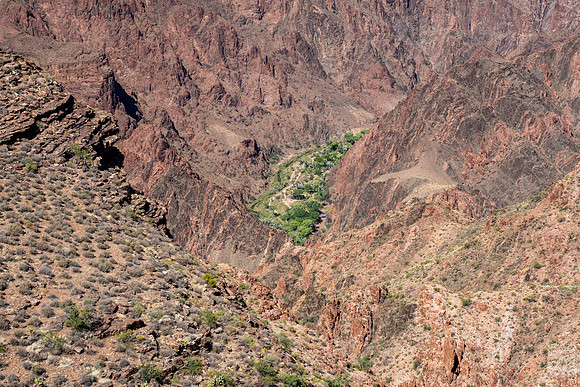 Arizona 2019