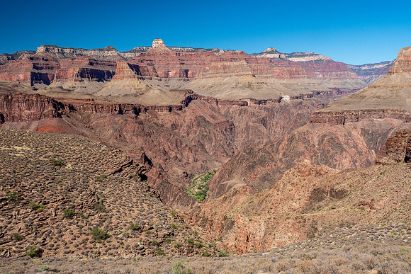 Arizona 2019
